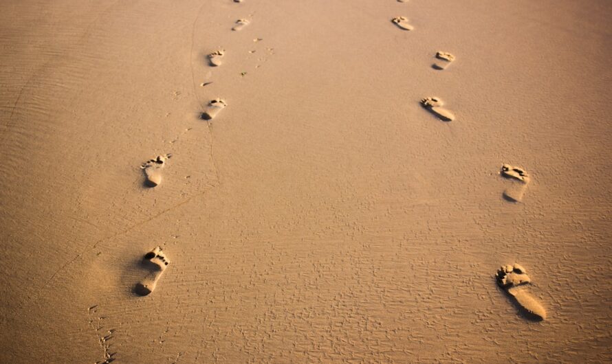 Profitiere von PLR für Coaches