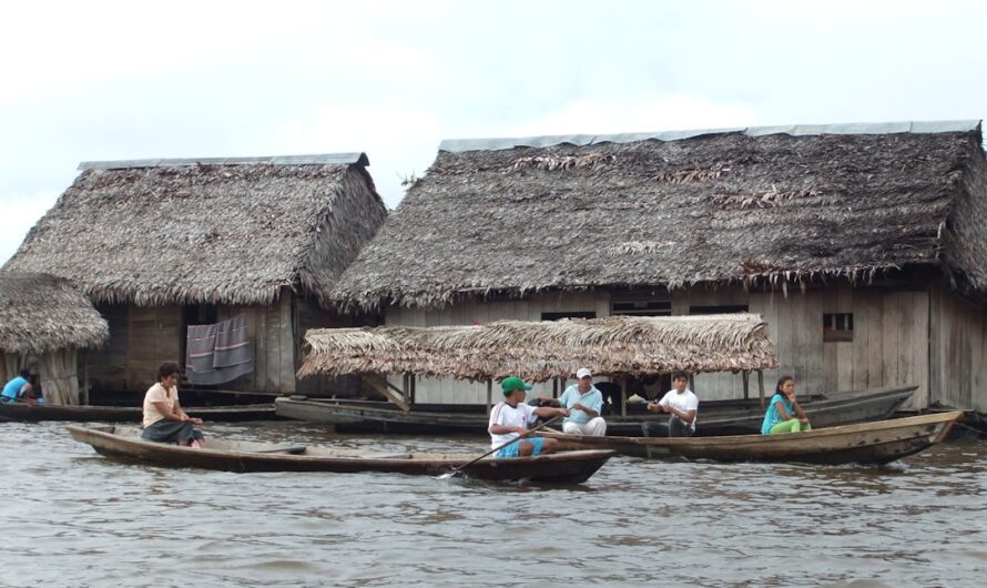 PLR-Produkte auf Amazon verkaufen: So einfach kannst du starten