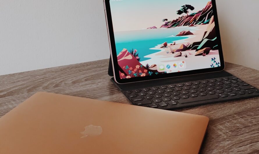 Online Geld verdienen mit PLR: Wie du passives Einkommen generieren kannst